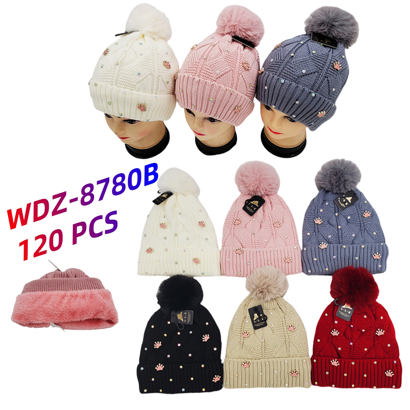WDZ-8780B CS120